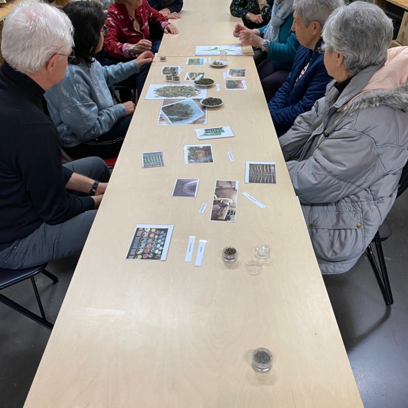 Atelier découverte Juin