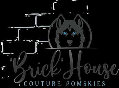 'Brick'House Couture Pomskies