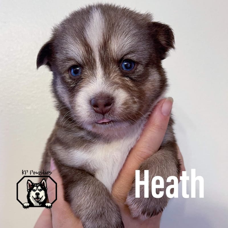 HEATH - SOLD