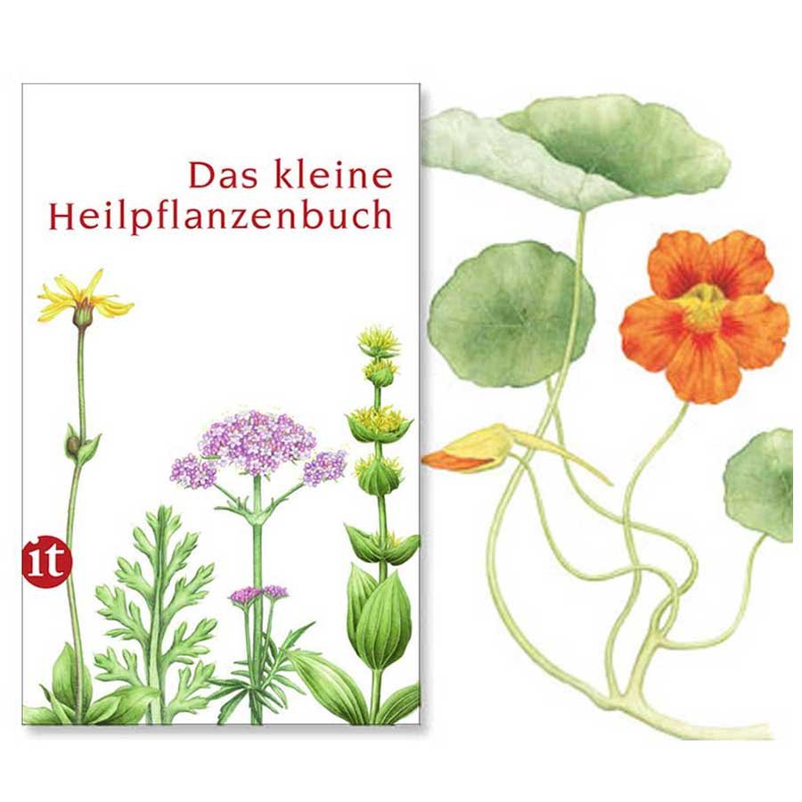 Das kleine Heilpflanzenbuch von Catrin Cohnen