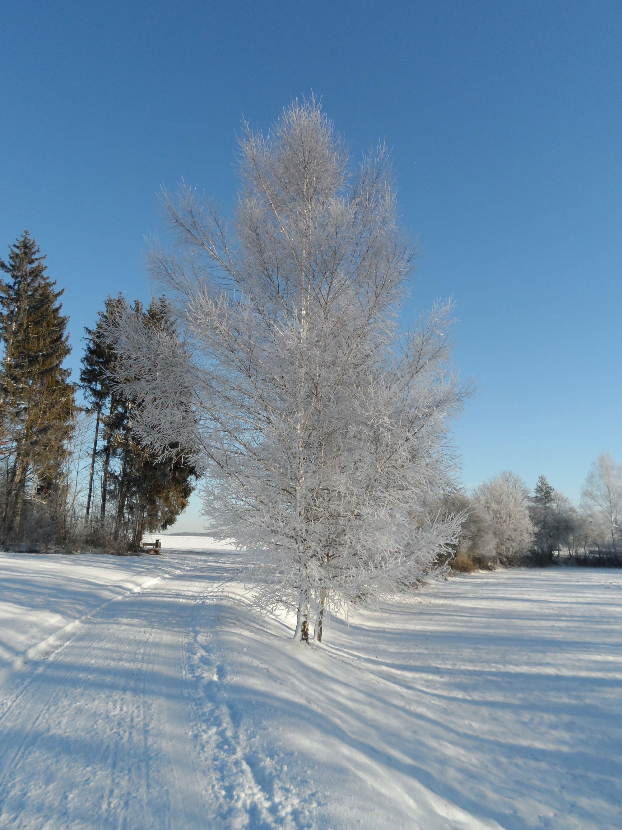 Winterzauber