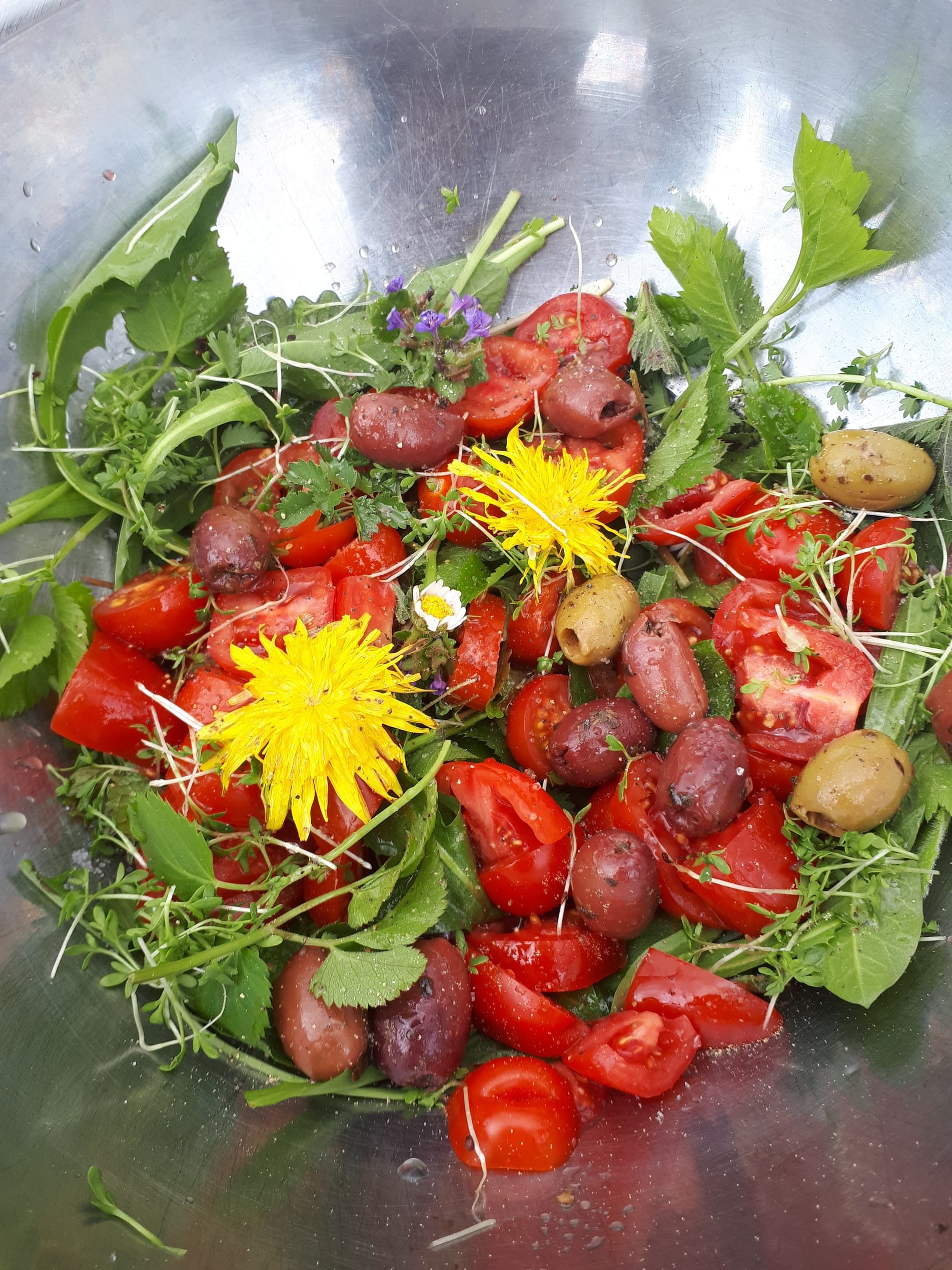 Wildkräuter-Salat