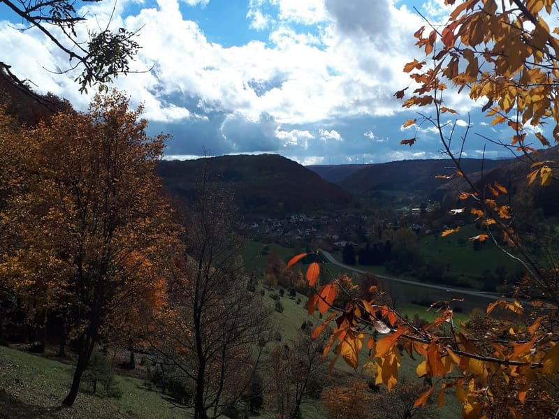 Kräuterwanderung-Herbstwanderung in Auendorf