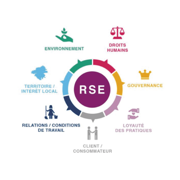 RSE Responsabilité Sociétale des Entreprises