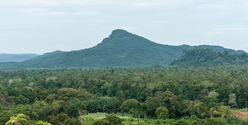 Kinabatangan