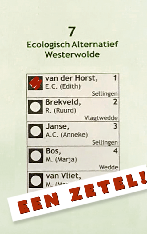 Zo heeft Westerwolde gestemd