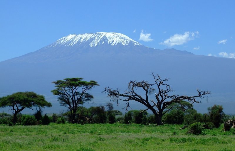 Mount Kilimanjaro national park