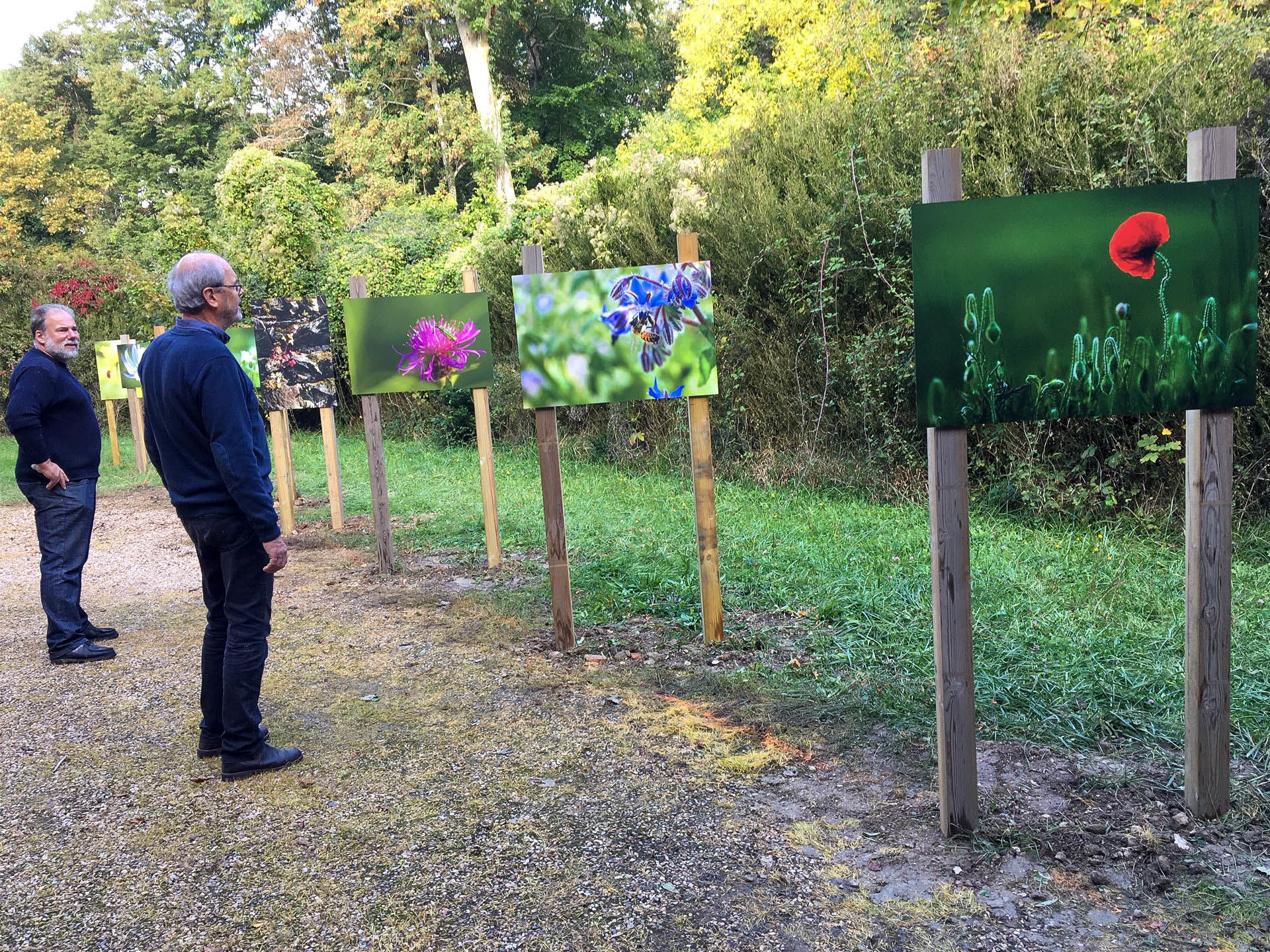 EXPOSITION FLEURS SAUVAGES