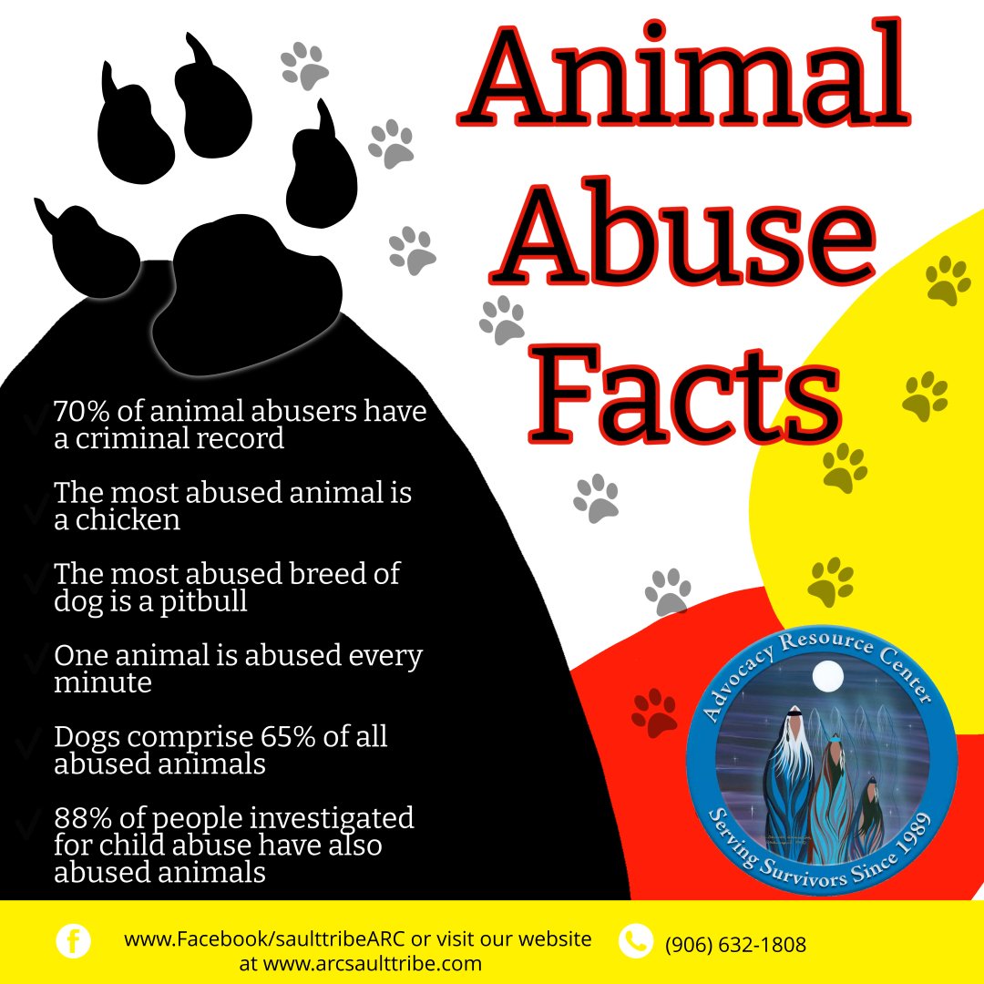 August Highlights Pets in Domestic Violence