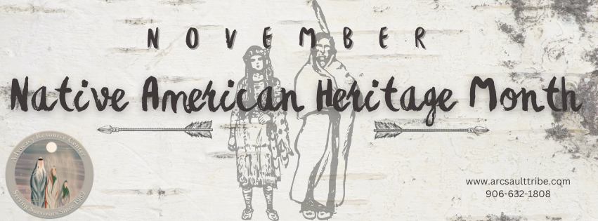 November-Native American Heritage/Cultural Abuse Awareness
