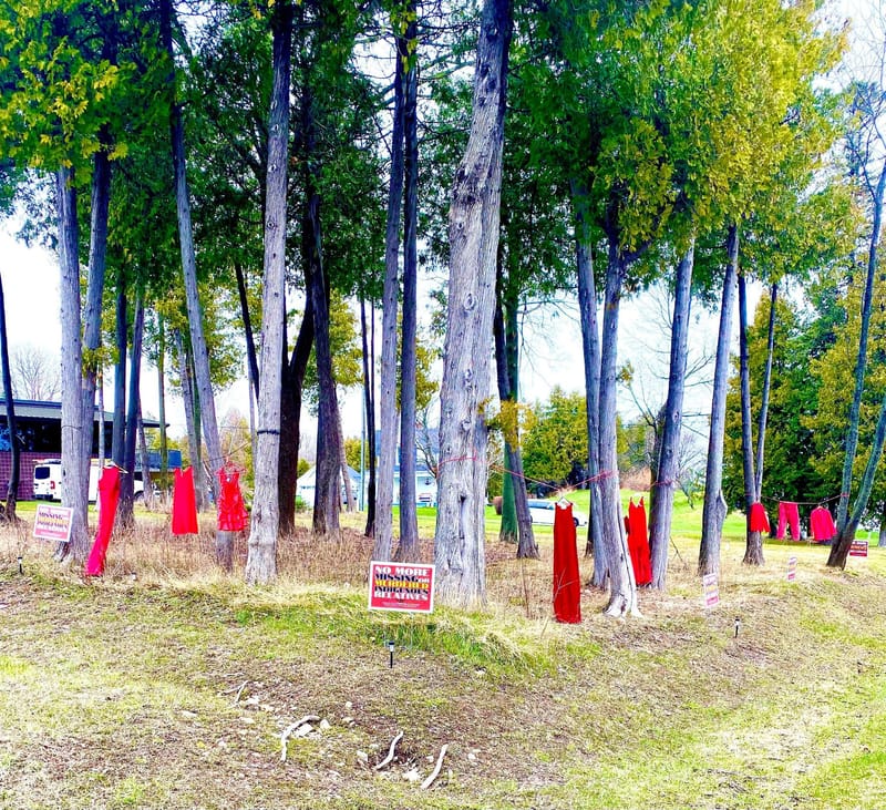 St Ignace Public Library Advocacy Resource Center