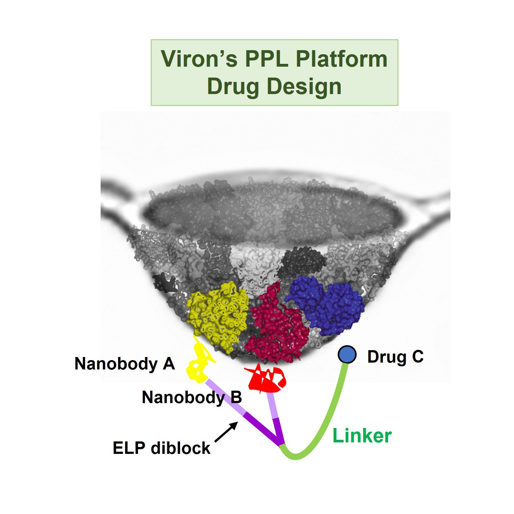 VIRON LAUNCHES POROSOME RECONSTITUTION THERAPY & IDENTIFICATION OF THE COMBINATORIAL USE OF SMALL MOLECULES AS DRUGS TO TARGET ‘UNDRUGGABLE' POROSOME PROTEINS