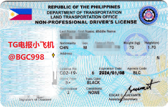 中国驾驶证换菲律宾驾驶证的过程和方法