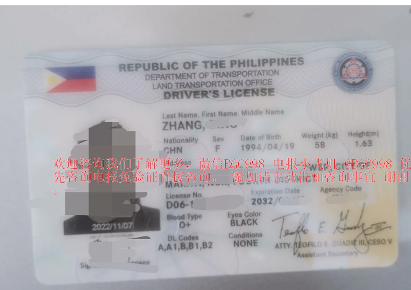 那些制作假的菲律宾驾驶证的人 你们怎么还不消停一下？