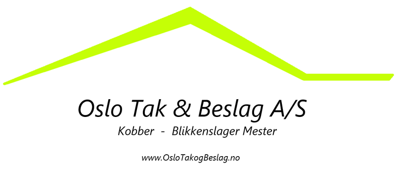 Faglig bistand
