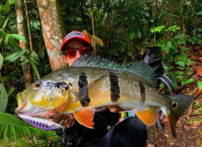 Bass Fishing -  Singapore