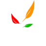 DV-LOG Interpaye