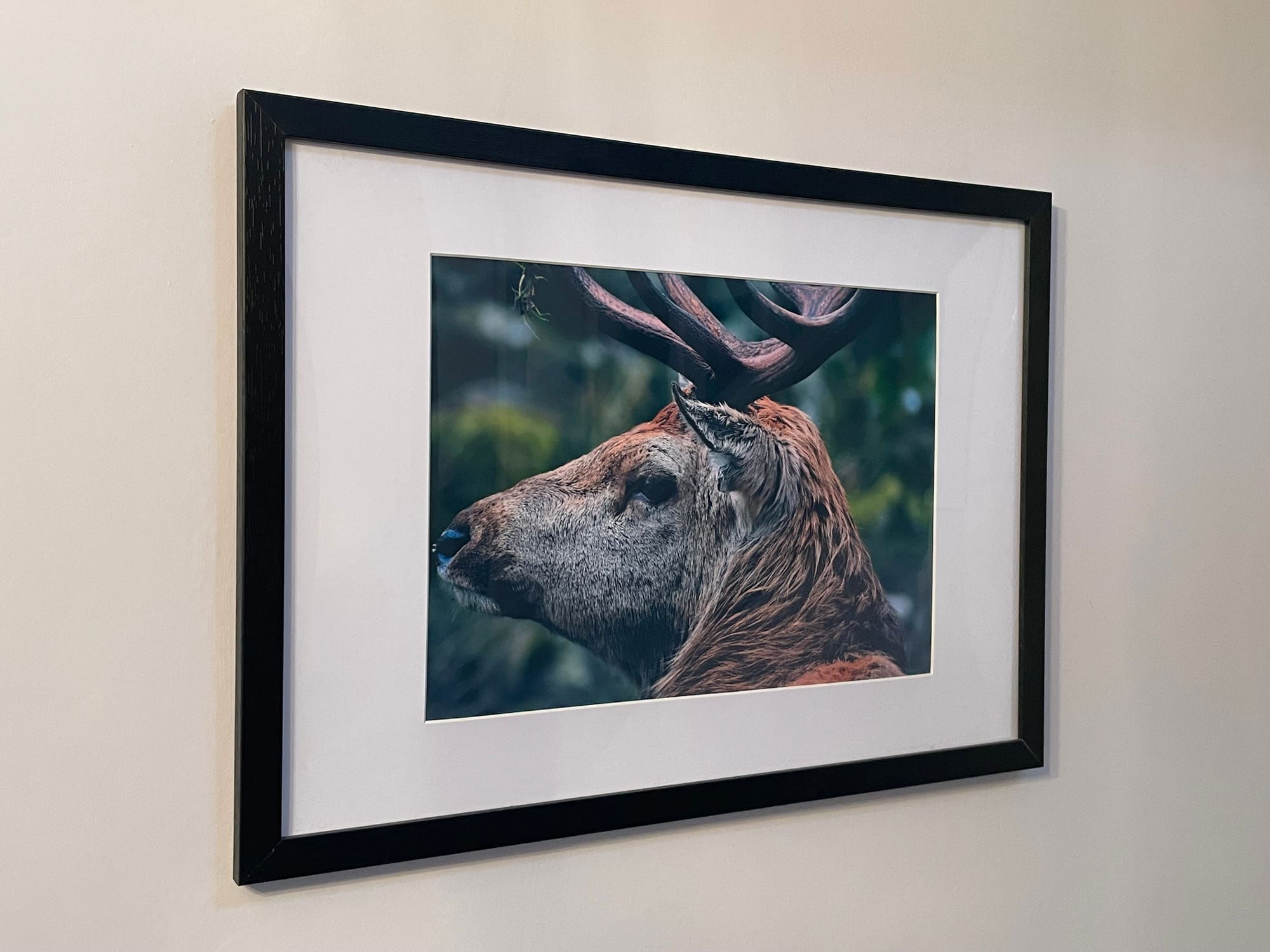 Photography size 210mm x 297mm with mount displayed in A3 frame.
