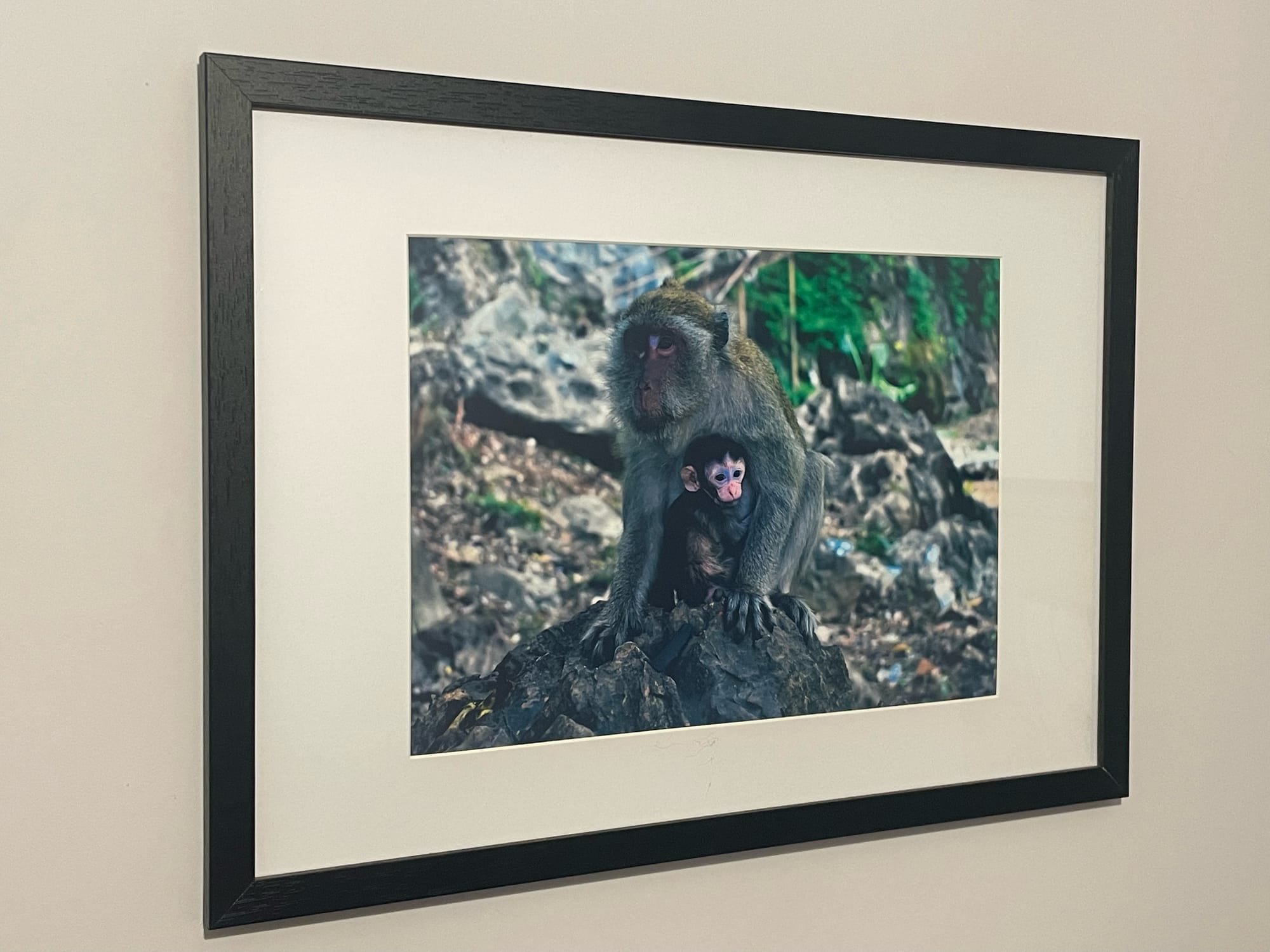 Photography size 210mm x 297mm with mount displayed in A3 frame.