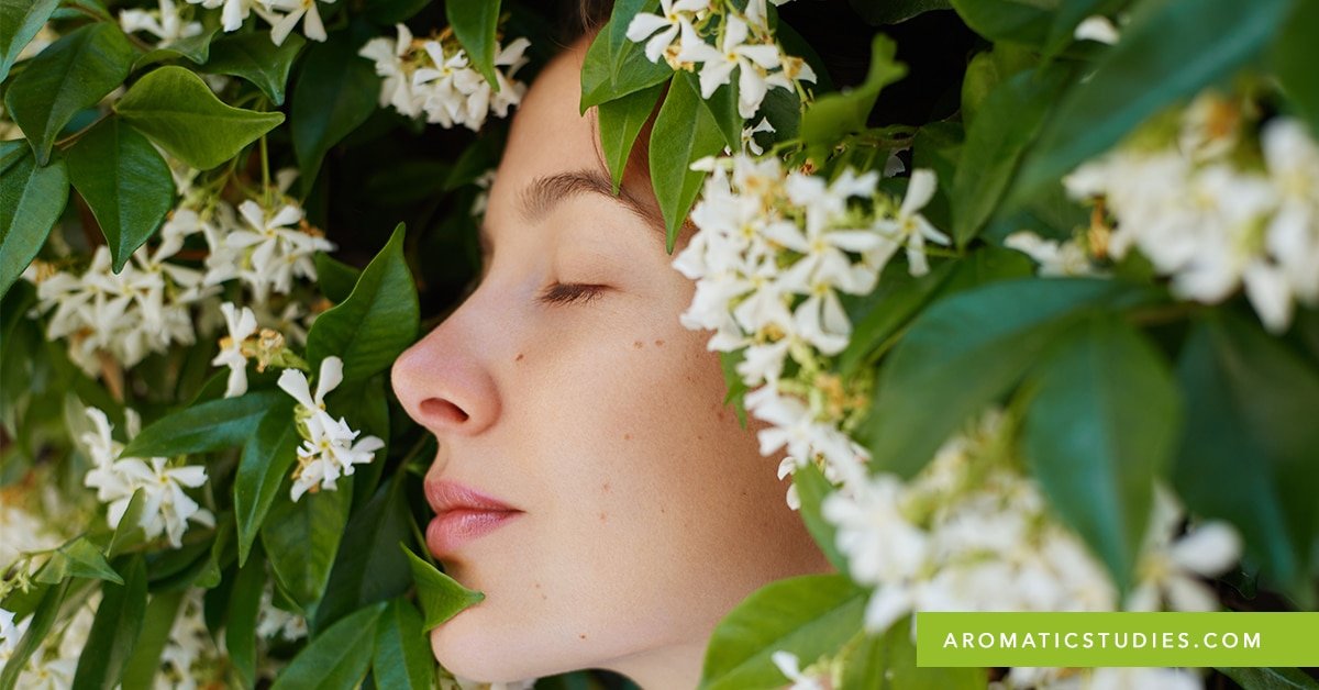 The Power of Aroma: How Essential Oils and Our Sense of Smell Can Support Mental Health
