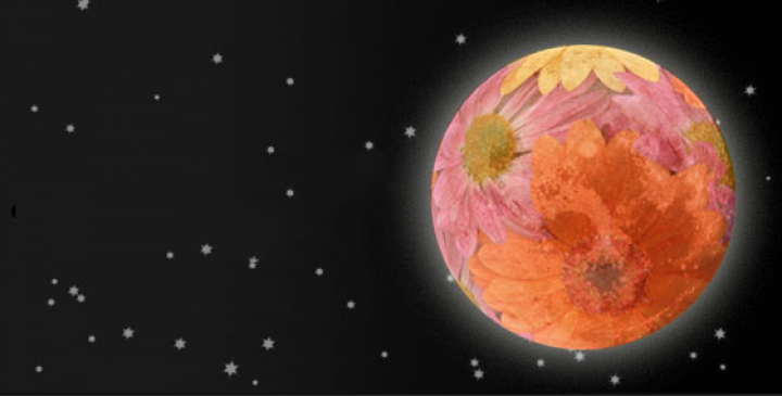 Flower Full Moon Women's Circle in May 2023