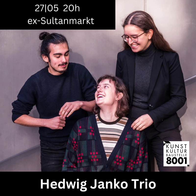Hedwig Janko Trio