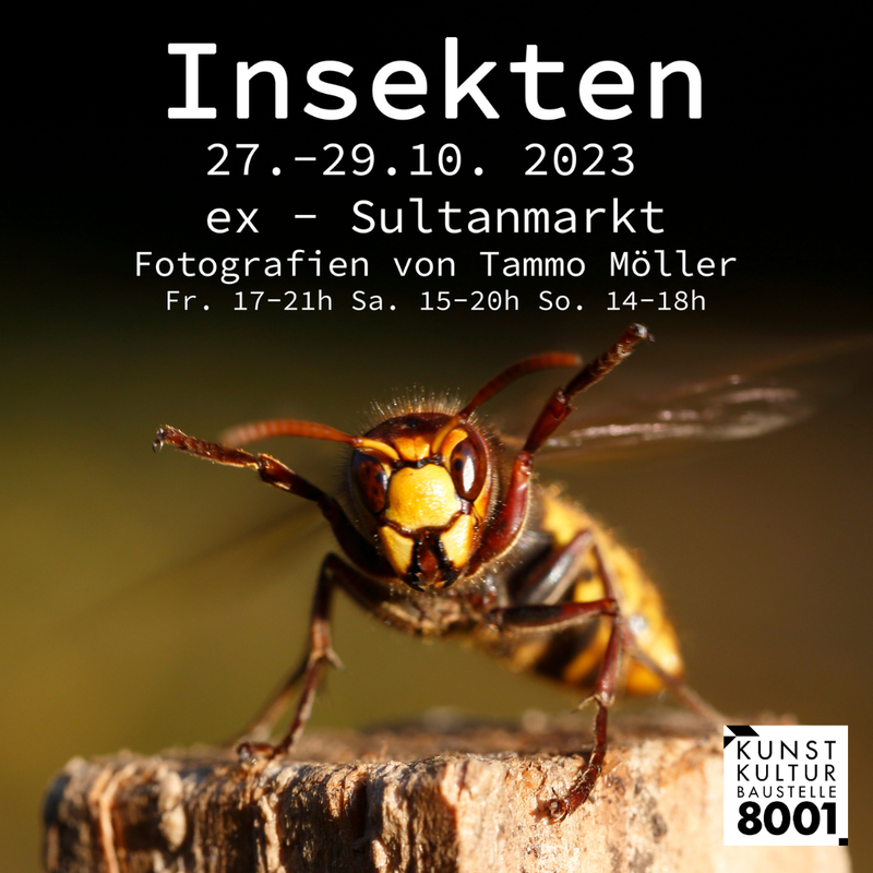Insekten