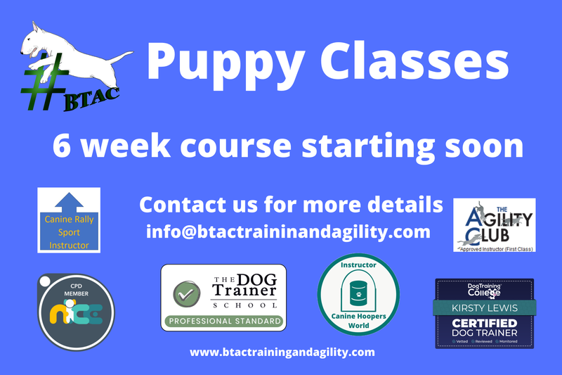 Puppy and Beginner Course