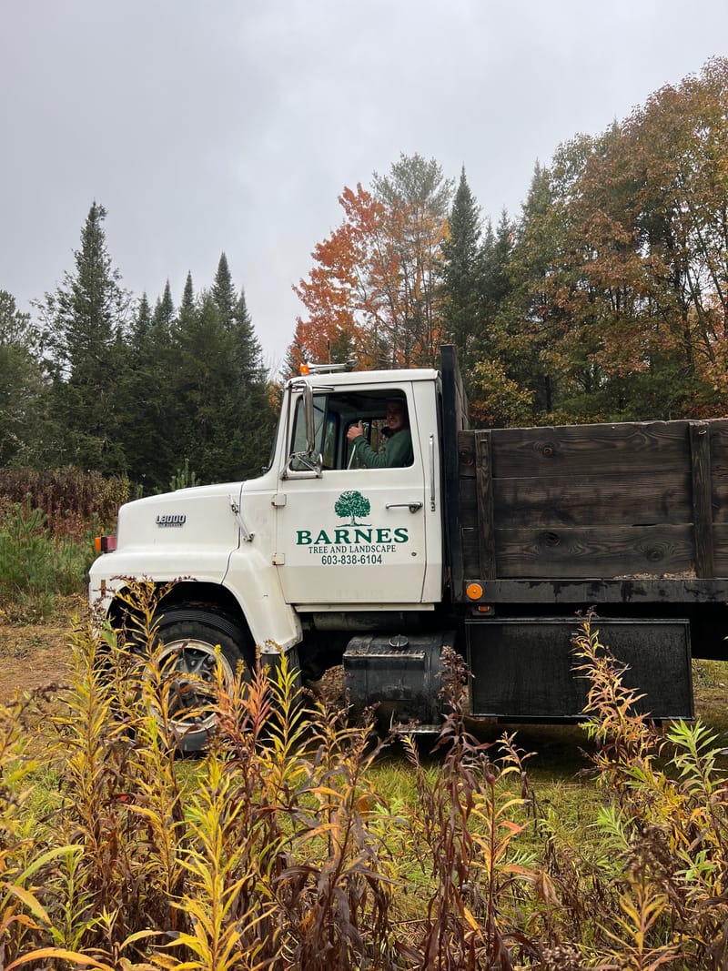 Trail Work Day