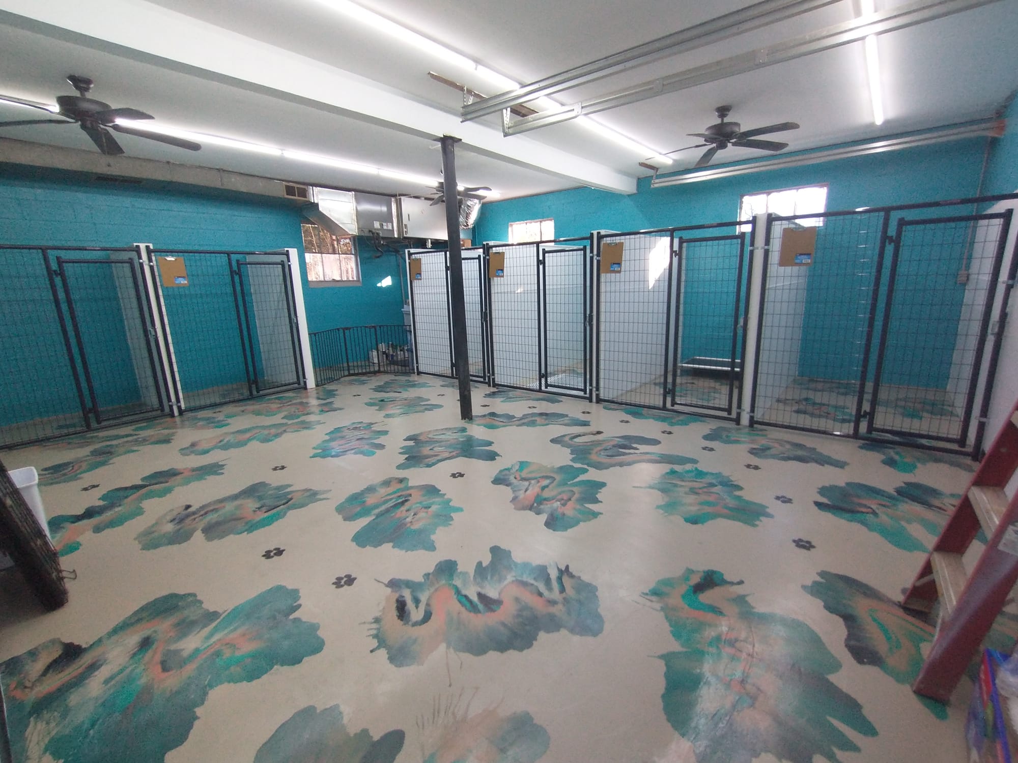 TLC Pet Care Grooming TLC PET CARE TLC Pet Care Grooming TLC PET CARE