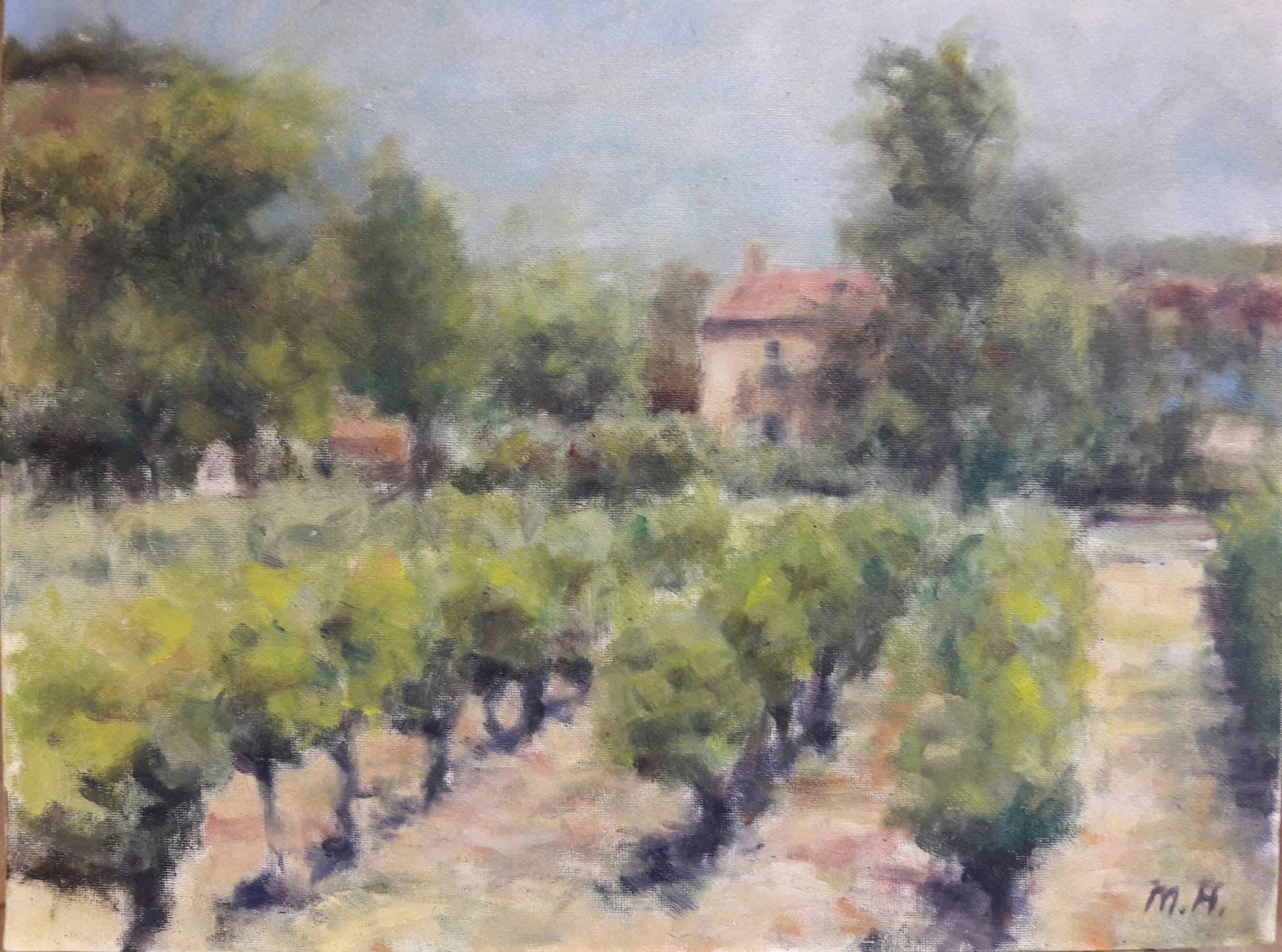 Vineyard in Le Tholonet