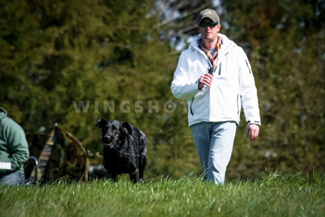 Dog Trainer Virginia