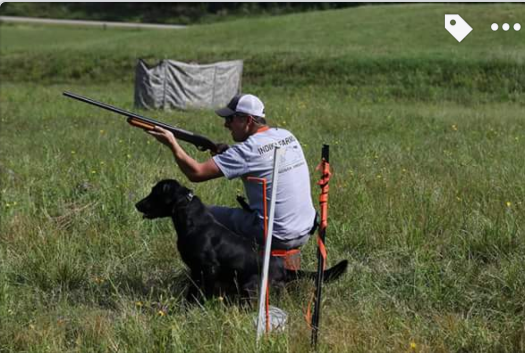 Dog Trainer Virginia