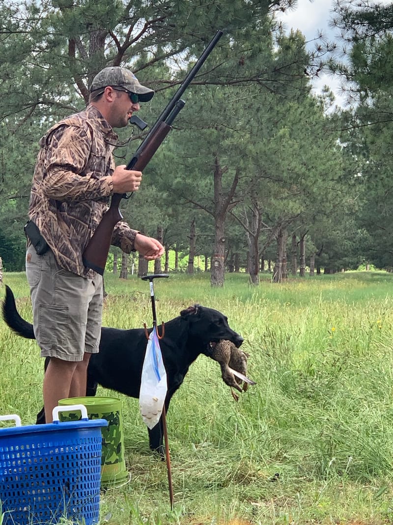 Dog Trainer Virginia