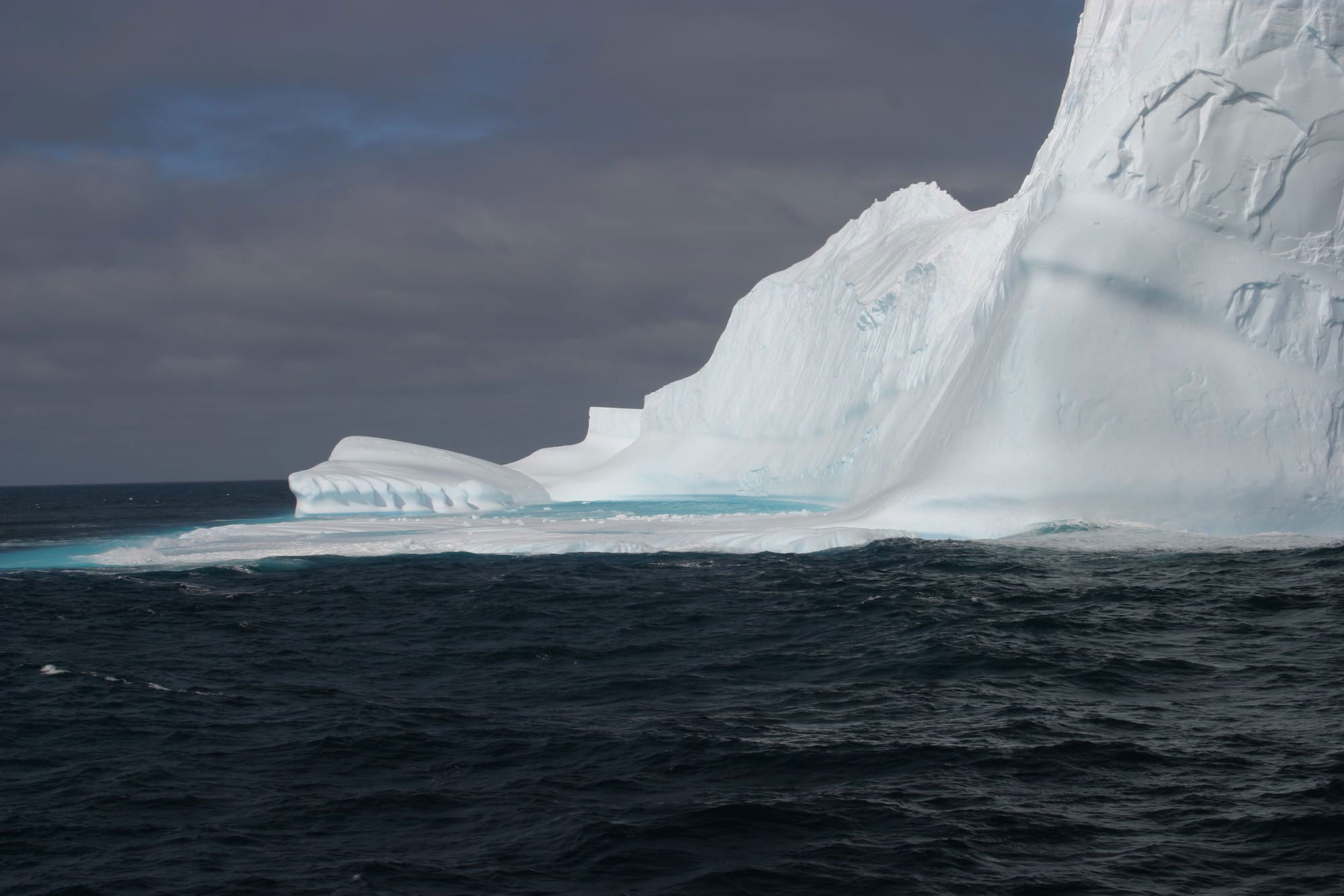 Icebergs in the Scotia Sea