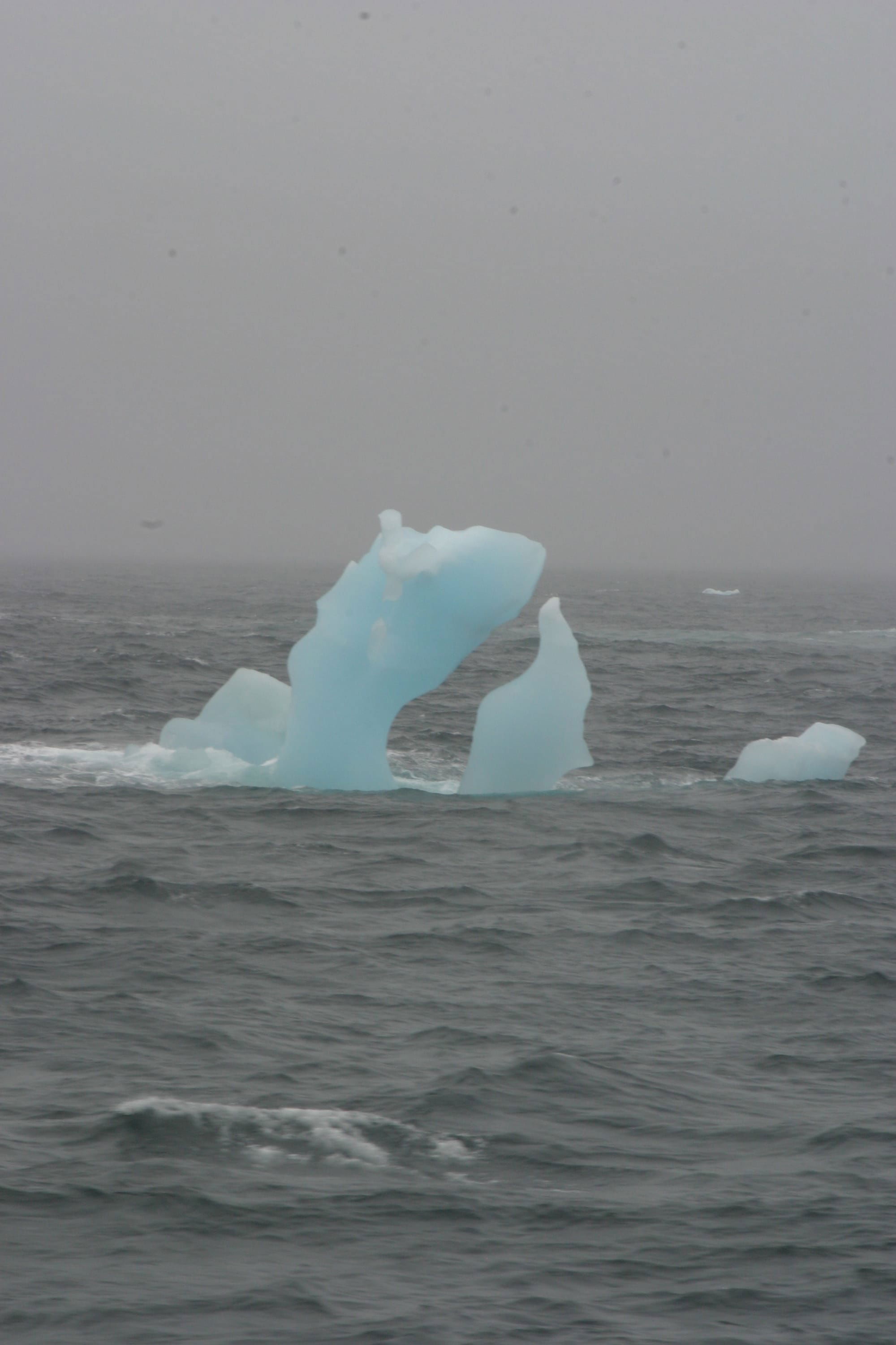 Iceberg in Weddell Sea