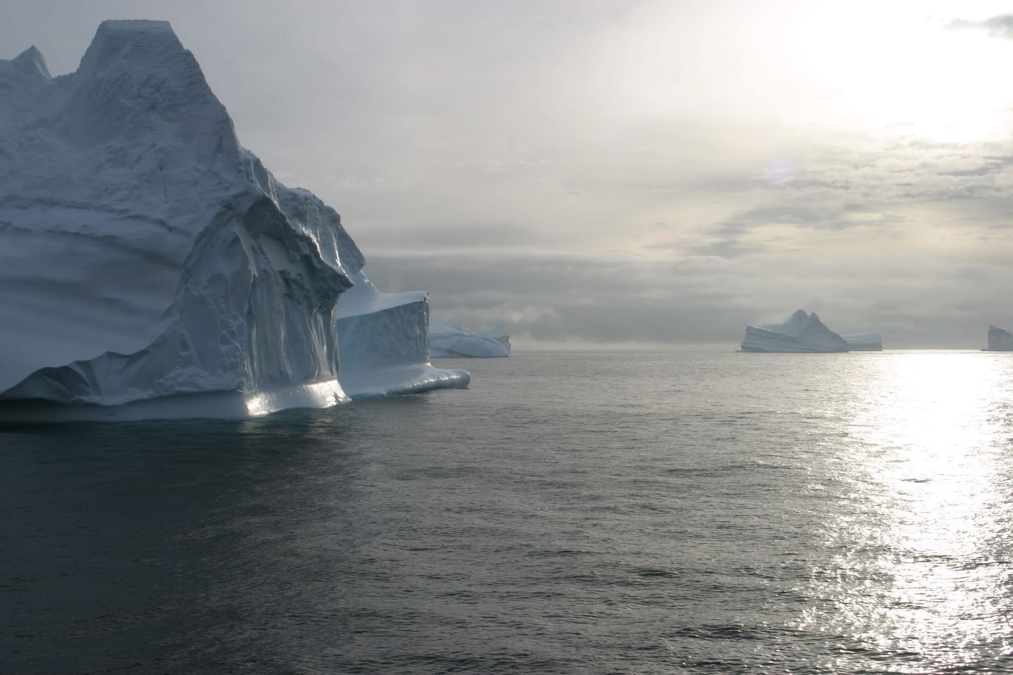 Icebergs in the Scotia Sea