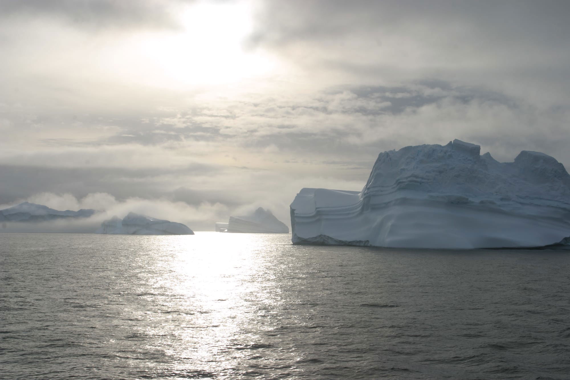 Icebergs in the Scotia Sea