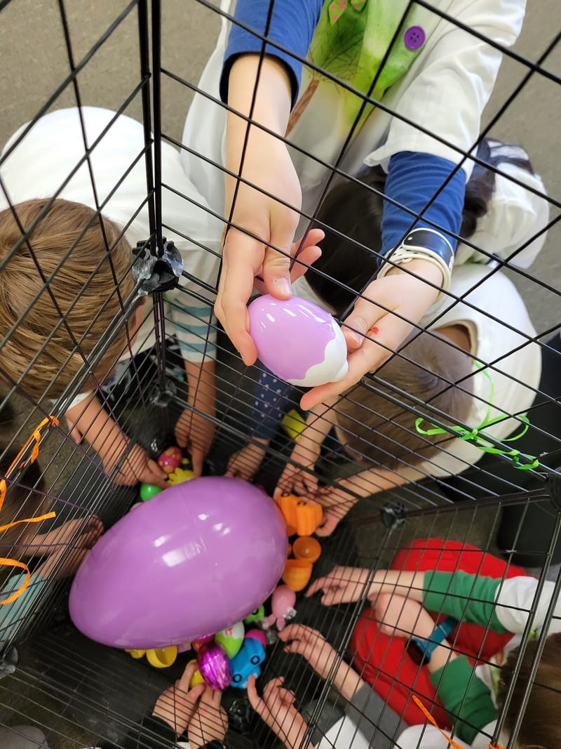 Art Spring One Day Camp