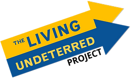 Living Undeterred Project Mental Health Expo