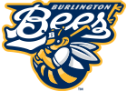 Burlington Bees Baseball Mental Health Night
