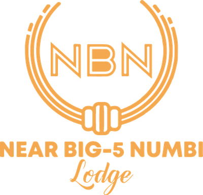 Near Big 5 Numbi Lodge