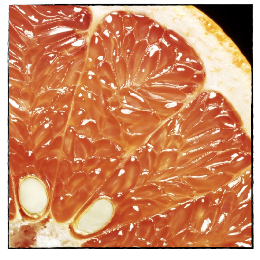 Grapefruit