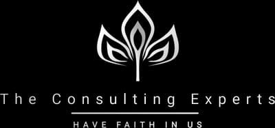 THE Consulting Experts