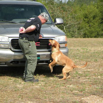 K9 NARCOTIC TEAM CERTIFICATION