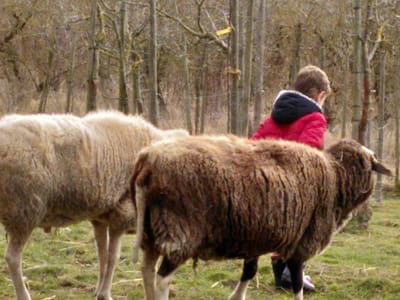 Pädagogische Angebote für Kinder und jugendliche image