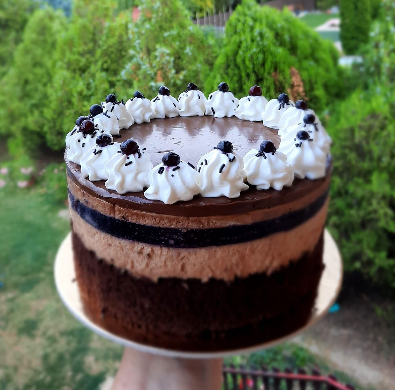 Áfonyás csokoládé mousse torta