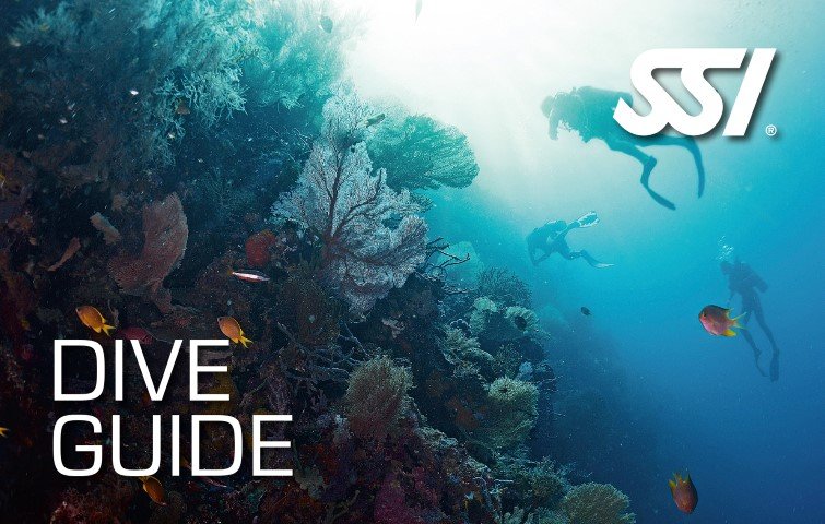 Dive Guide Course