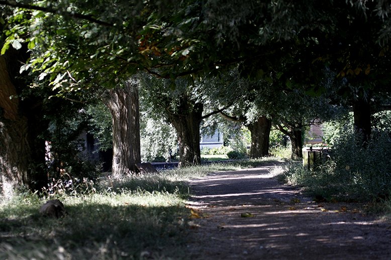Stourbridge Common