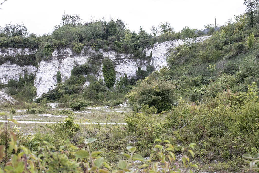 The Cherry Hinton Chalk Pits